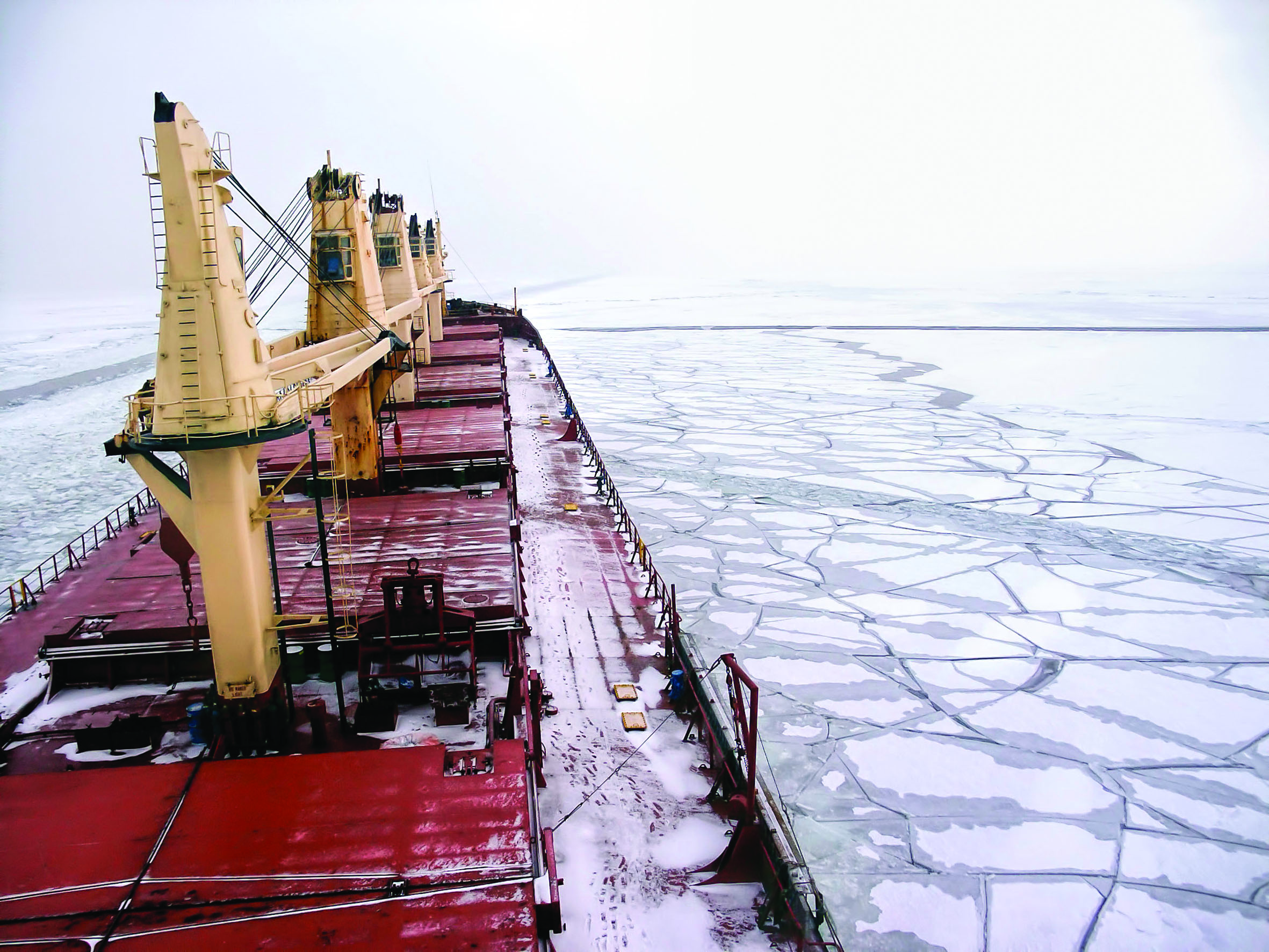 Bulk ship in Arctic Sea