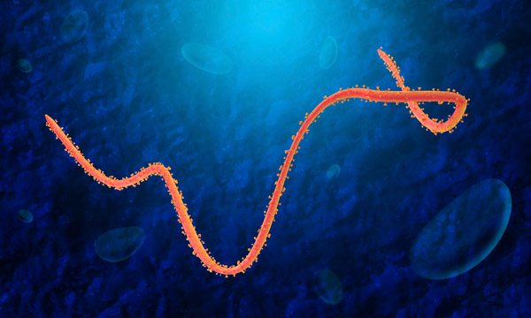 Ebola
