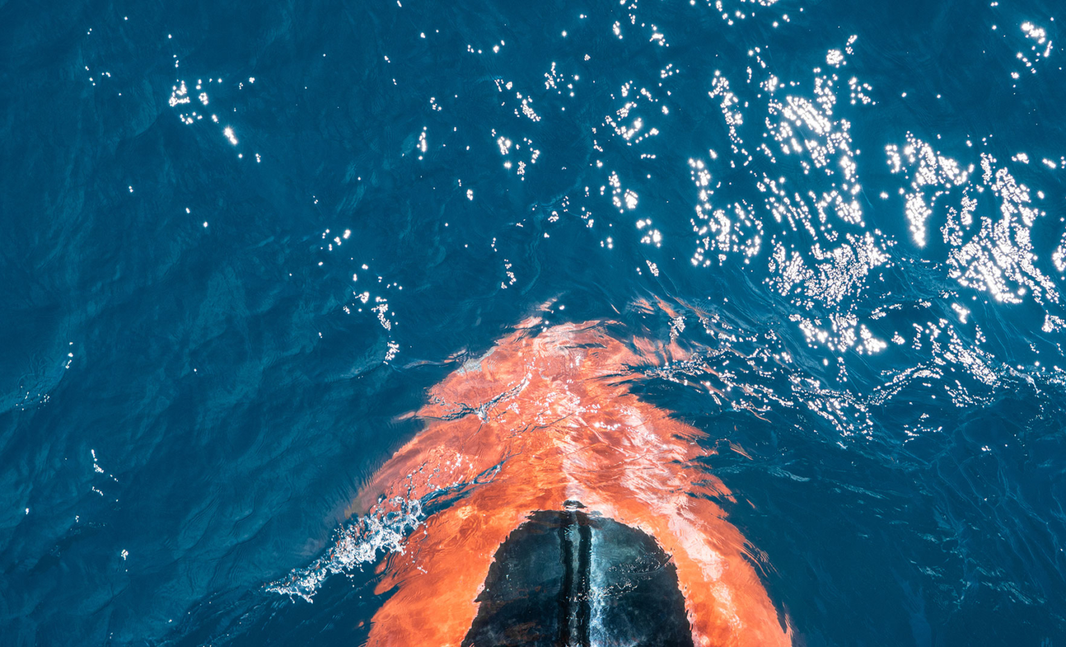Small craft operators - The Swedish Club